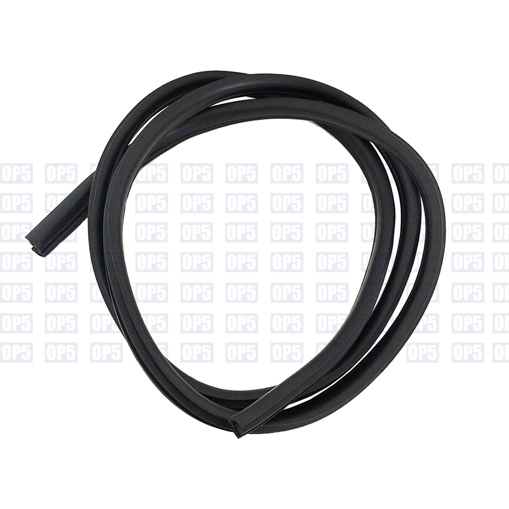 Borracha Carroceria Porta Traseira Lado Esquerdo Kia Cerato 2008 A 2013
