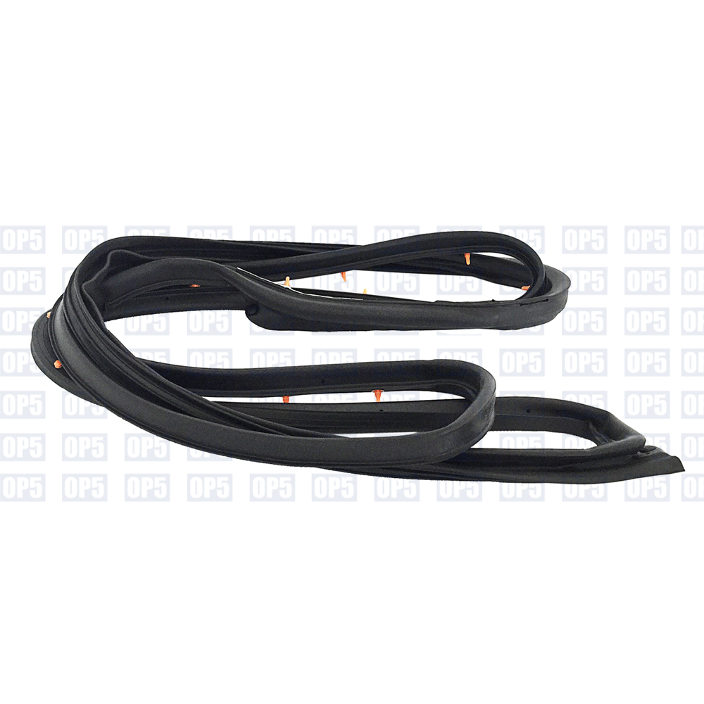 Borracha Externa Porta Traseira Lado Esquerdo Hyundai I30 2007 A 2012