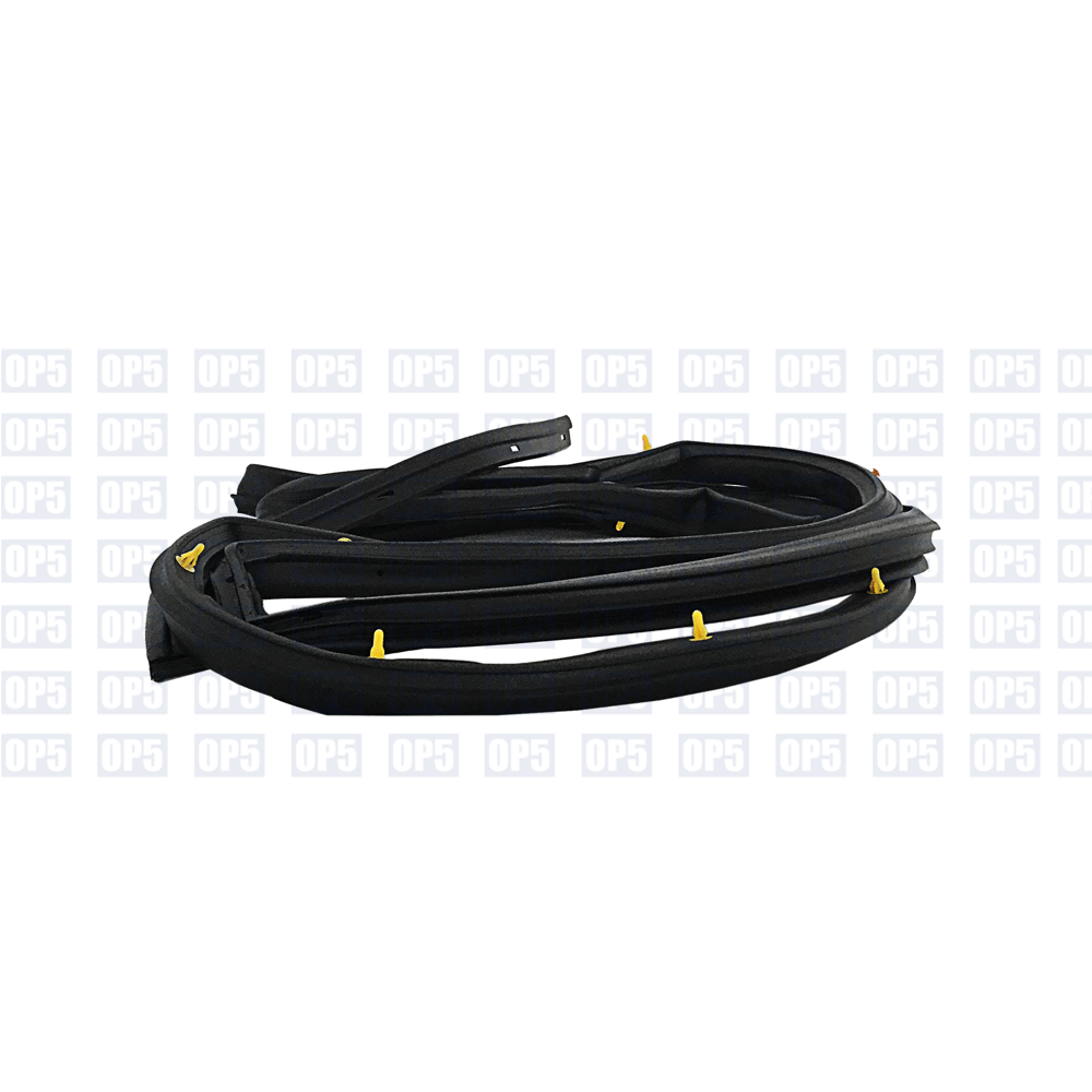 Borracha Externa Porta Traseira Lado Esquerdo Kia Cerato 2008 A 2013
