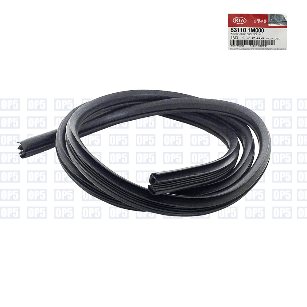 Borracha Carroceria Porta Traseira Lado Esquerdo Kia Cerato 2008 A 2013
