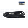Borracha Externa Porta Traseira Lado Esquerdo Hyundai I30 2007 A 2012