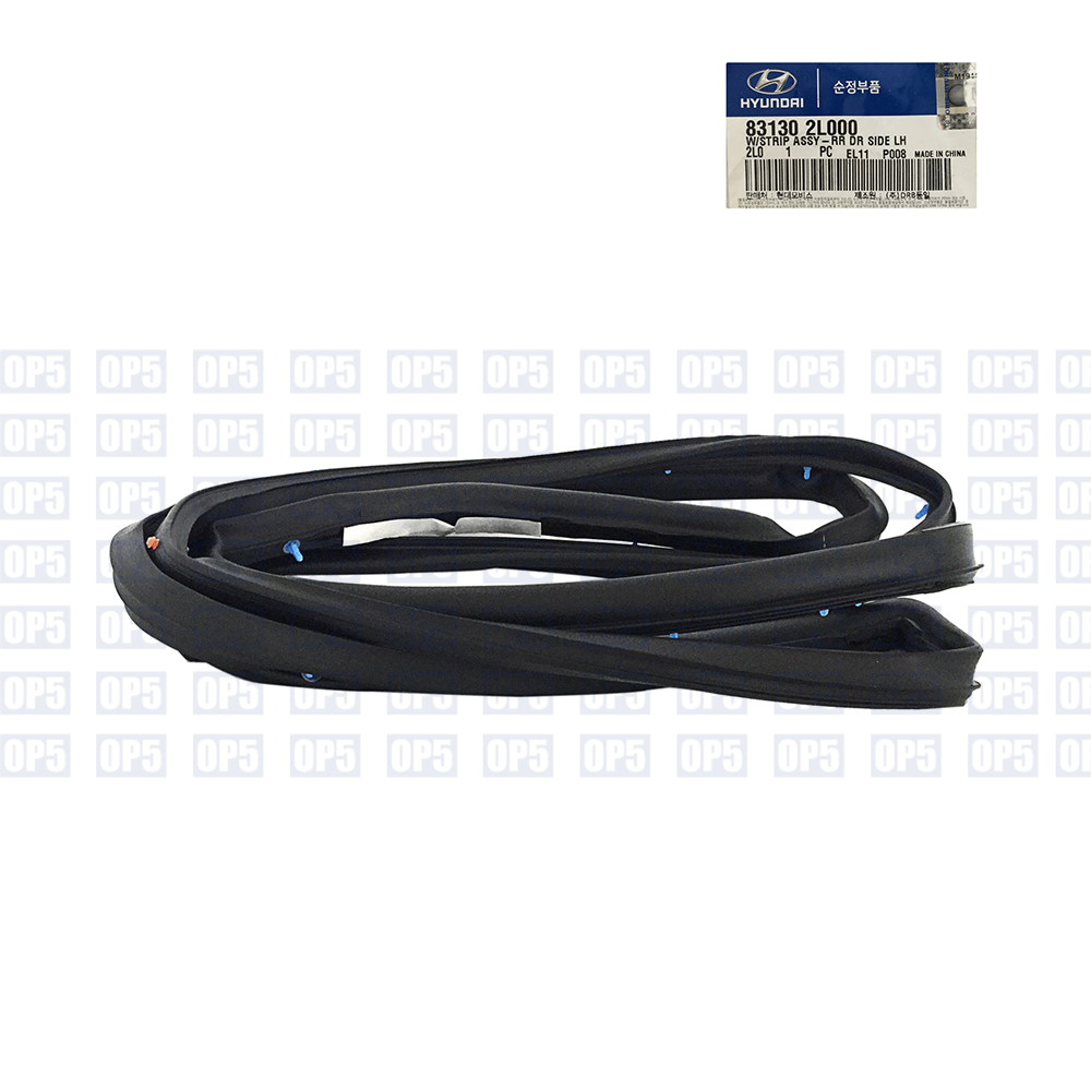 Borracha Externa Porta Traseira Lado Esquerdo Hyundai I30 2007 A 2012